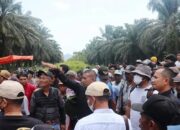 Gugatan Dikabulkan, PT BPP Pasbar Harus Serahkan Kebun Plasma 300 Hektare ke Masyarakat Sikabau