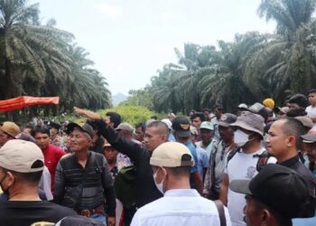 Gugatan Dikabulkan, PT BPP Pasbar Harus Serahkan Kebun Plasma 300 Hektare ke Masyarakat Sikabau