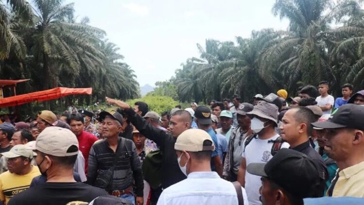 Aksi masyarakat yang tergabung dalam Keltan Bukit Intan Sikabau beberapa waktu lalu terhadap PT Bakrie Pasaman Plantation (PT BPP). Gugatan masyarakat itu dikabulkan oleh Pengadilan Negeri Pasaman Barat. (ANTARA/Altas Maulana)