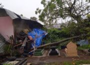 Pohon Tumbang Hantam Rumah dan Motor Warga di Padang