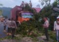 Satu pohon tumbang usai dihantam truk kontainer di kawasan Kuranji, Kota Padang. (Foto: radarsumbar.com/Dok. Pusdalops PB)