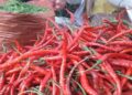 Harga Cabai Merah di Padang Melambung, Penyebabnya Diduga Gara-gara Ini 6 Harga Cabai Merah di Padangpanjang Alami Kenaikan Cukup Signifikan