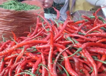 Harga Cabai Merah di Padangpanjang Alami Kenaikan Cukup Signifikan