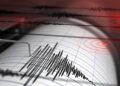 Ilustrasi gempa. (Istockphoto/Petrovich9)