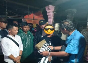 Bawa Tiga Bungkus Besar Ganja Kering, Seorang Pria Ditangkap Polres Pasbar