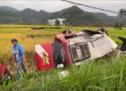Hilang Kendali Bus Masuk Sawah dan Terbalik di Agam, Sejumlah Penumpang Luka-luka
