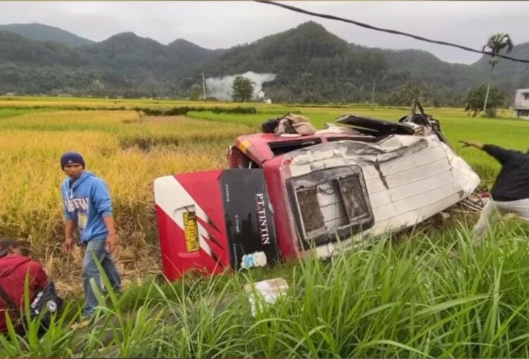 Bus berasal dari Payakumbuh ini masuk sawah dan terbalik usai kecelakaan. (Foto: Istimewa)