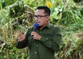 Bupati Tanahdatar Eka Putra. (Antara/Etri Saputra)