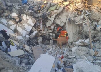 Tim Pencarian asal Indonesia Evakuasi 4 Jasad Korban Terdampak Gempa Turki