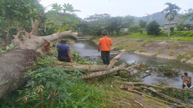 Pohon tumbang tutup aliran sungai di kawasan Pampangan, Kecamatan Lubukbegalung, Kota Padang pada Minggu (19/2/2023) siang. (Foto: Dok. Pusdalops PB)
