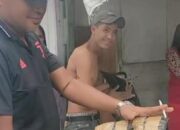 Seorang Pengedar Ganja Diciduk Polsek Bungus Teluk Kabung saat Menunggu Tambal Ban