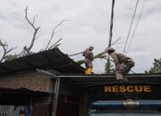 Pohon Tumbang akibat Angin Kencang Hantam Satu Rumah di Padang