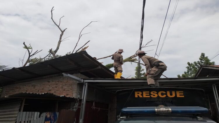 Petugas memotong pohon tumbang yang menimpa rumah warga di kawasan Alai Parak Kopi, Kecamatan Padang Utara, Kota Padang pada Jumat (24/2/2023) siang. (Foto: Dok. Istimewa)