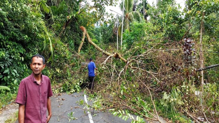 Pohon tumbang di kawasan Koto Kaciak, Kecamatan Padang Selatan, Kota Padang pada Selasa (28/2/2023) pagi. (Foto: Dok. Pusdalops PB)