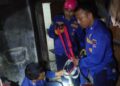 Aksi Heroik Damkar Evakuasi Kucing di Padang Tuai Pujian 7 Evakuasi kucing di kawasan Bypass Koto Panjang Ikua Koto (KPIK), Kecamatan Koto Tangah, Kota Padang pada Selasa (31/1/2023) malam. (Dok. Dinas Damkar Padang)
