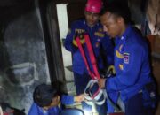 Aksi Heroik Damkar Evakuasi Kucing di Padang Tuai Pujian