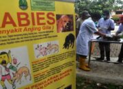 Lima Penyakit Tropis Terabaikan Ini masih Ditemukan di Indonesia, Ini Daftarnya