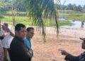 Minimalisir Konflik dengan Manusia, BKSDA bikin Penangkaran Buaya di Tanjungmutiara Agam 3 Minimalisir Konflik dengan Manusia, BKSDA bikin Penangkaran Buaya di Tanjungmutiara Agam