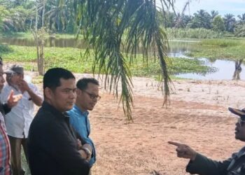 Minimalisir Konflik dengan Manusia, BKSDA bikin Penangkaran Buaya di Tanjungmutiara Agam