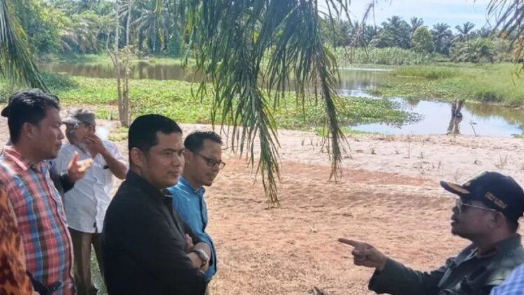 Kepala BKSDA Sumbar Ardi Andono (kanan) dan tim sedang meninjau lokasi penangkaran buaya muara, Kamis (23/2). (ANTARA/Yusrizal)