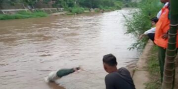 Tangkapan layar Kabid KL BPBD Kota Padang, Basril melompat mencari pelajar SMK 1 Padang yang hilang pada Selasa (21/2/2023) sore. (Foto: Dok. Pusdalops PB)