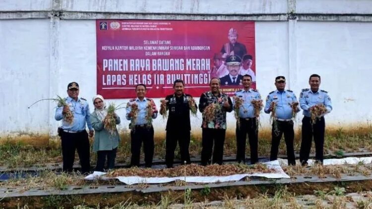 Lapas Bukittinggi panen bawang merah. (Antara/Al Fatah)