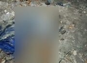 Penemuan Mayat di Pulau Pasumpahan Padang, Ini Ciri-ciri Korban