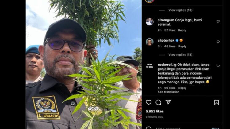 Nasir Djamil, anggota Fraksi PKS DPR RI unggah foto memegang tanaman ganja. (Instagram)
