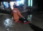 Hujan Lebat, Sejumlah Daerah di Bukittinggi Alami Banjir dan Pohon Tumbang