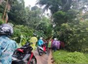 Enam Kecamatan di Agam Dilanda Pohon Tumbang, Banjir dan Longsor, Ini Lokasinya