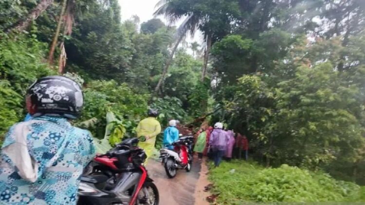 Enam Kecamatan di Agam Dilanda Pohon Tumbang, Banjir dan Longsor, Ini Lokasinya 1 Banjir dan pohon tumbang terjadi di Agam. (ANTARA/Yusrizal)