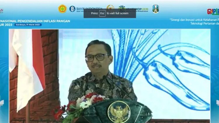 Deputi Gubernur Bank Indonesia (BI) Juda Agung berbicara dalam acara Gerakan Nasional Pengendalian Inflasi Pangan (GNPIP) Jawa Timur 2023 yang dipantau virtual di Jakarta, Jumat (17/3/2023). ANTARA/Martha Herlinawati Simanjuntak