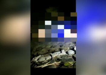 Heboh Temuan Mayat Pria di Aliran Parit di Padangpariaman, Begini Kondisinya