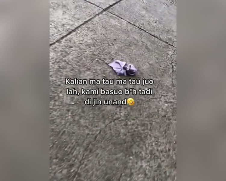 Warganet Heboh, Bra Ditemukan Tercecer di Jalan Kampus Unand 1 Tangkapan layar penemuan pakaian dalam wanita yang disebut-sebut berlokasi di jalan kampus Unand. (Foto: Dok. Tiktok/@manusiamicin_)