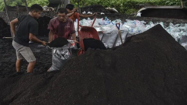 Sejumlah pekerja membuat pupuk organik di Pabrik CV Indra, Panyingkiran, Kabupaten Ciamis, Jawa Barat, Kamis (10/11/2022). (ANTARA FOTO/ADENG BUSTOMI)