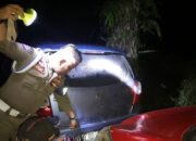 Satpol PP Damkar Agam Sita Belasan Botol Minol saat Operasi Rutin