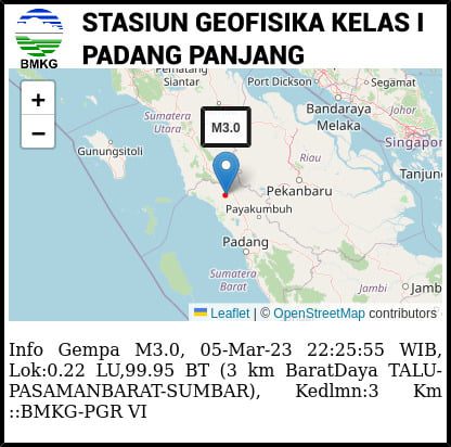 Grafik gempa bumi. (Foto: Dok. BMKG)