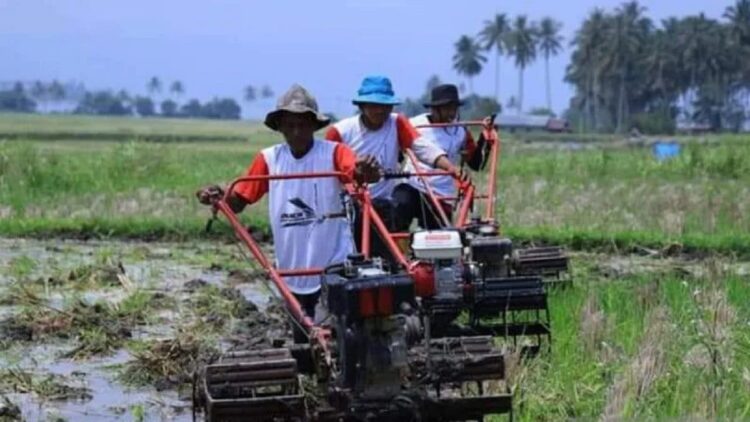 Layanan bajak sawah gratis di Kabupaten Tanah Datar. (ANTARA/HO)