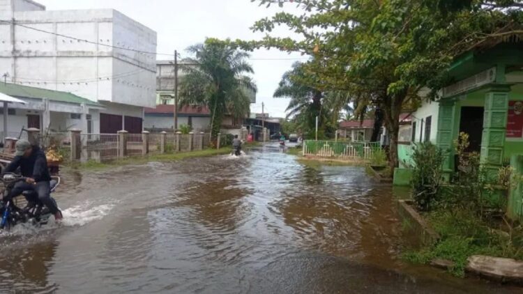 Belasan Rumah Warga di Agam Terendam Banjir 1 Pengendara sedang melewati banjir yang menggenangi ruas jalan di Kecamatan Tanjungmutiara, Kabupaten Agam, Sumbar, Sabtu (25/3/2023). (Dok. Antara/HO-BPBD Agam)