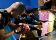 Razia Kamar Napi, Ini yang Ditemukan Petugas Gabungan di Lapas Lubukbasung