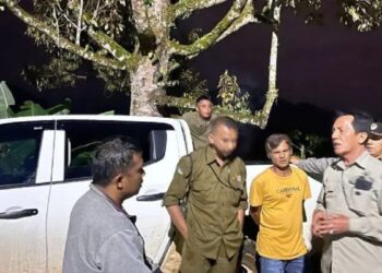 BKSDA Sebut Harimau yang Terkam Ternak Warga di Solsel hanya Muncul Sementara