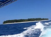 Kawasan Konservasi Pulau Pieh Adalah Habitat Lumba-lumba hingga Paus