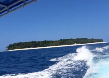 Kawasan Konservasi Pulau Pieh Adalah Habitat Lumba-lumba hingga Paus