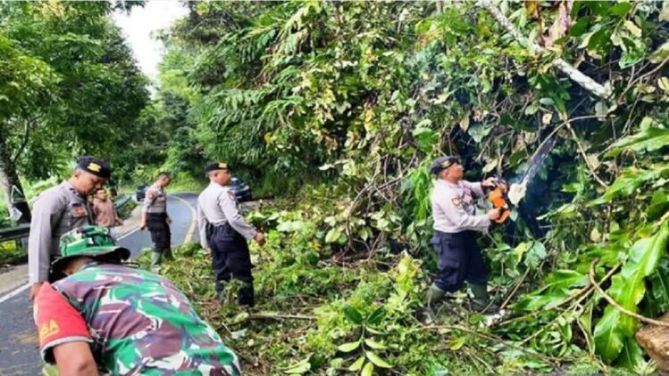 Tangkapan layar personel Polres Solok Selatan bersama TNI dan BPBD setempat juga membantu mengevakuasi pohon tumbang yang menghalangi jalan nasional akibat tanah longsor di Liki, Sangir, Minggu (19/3/2023). (ANTARA/Instagram satsamapta_polressolsel)