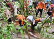 Enam Hari Hilang, Pria Lansia di Pasaman Ditemukan Meninggal dalam Hutan