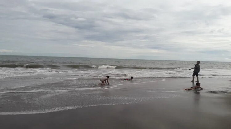 Tiga Objek Wisata di Pasbar Ini Siap Gelar Pesta Rakyat saat Libur Lebaran 1 Hamparan pasir di Pantai Pohon Seribu, Kecamatan Sasak Ranah Pasisie, Kabupaten Pasaman Barat, Sumbar. ANTARA/Altas Maulana
