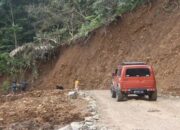 BPBD Pasbar Ingatkan Pemudik Waspada saat Melintas di Lokasi Rawan Bencana