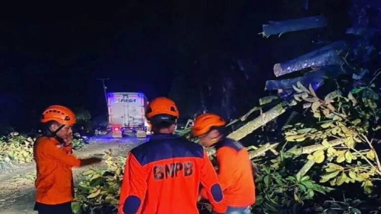 Anggota BPBD Limapuluh Kota saat membersihkan material longsor di daerah Kelok 17 Koto Alam, Kecamatan Pangkalan, Kabupaten Limapuluh Kota, Sumatera Barat. (ANTARA/BPBD Limapuluh Kota)