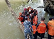 Remaja Diduga Diterkam Buaya di Pasbar Ditemukan Meninggal