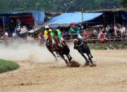 Alek Nagari Pacu Kuda 2023 di Tanah Datar Gratis, Andre Rosiade: Ini harus Didukung